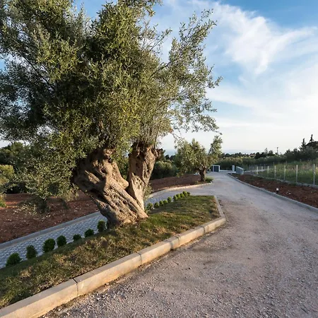 Theeta By Rentalspro - Halkidiki Villa *